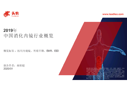 2019年中国消化内镜行业概览