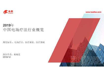 2019年中国电场疗法行业概览