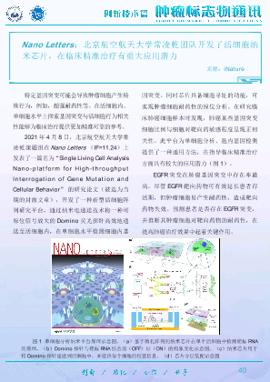 Nano Letters ：北京航空航天大学常凌乾团队开发了活细胞纳 米芯片，在临床精准治疗有重大应用潜力