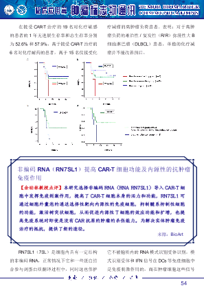 非编码 RNA（RN7SL1）提高 CAR-T 细胞功能及内源性的抗肿瘤