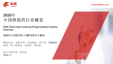【头豹】2020年中国降脂药行业概览