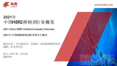 【头豹】2021年中国HER2抑制剂行业概览.pdf