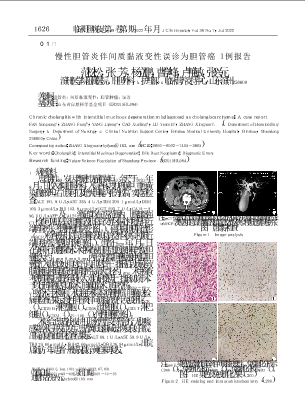 慢性胆管炎伴间质黏液变性误诊为胆管癌1例报告.pdf