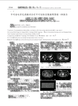 不可逆电穿孔消融术治疗不可切除壶腹部周围癌1例报告.pdf