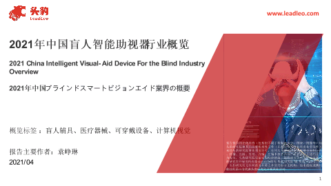 【头豹】2021年中国盲人智能助视器行业概览.pdf