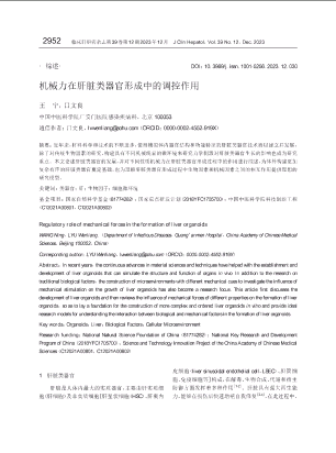 机械力在肝脏类器官形成中的调控作用.pdf