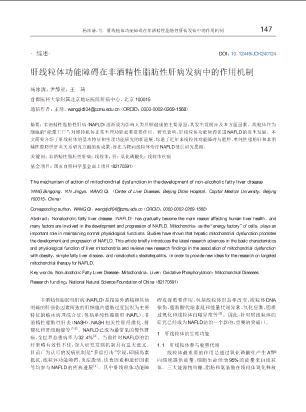 肝线粒体功能障碍在非酒精性脂肪性肝病发病中的作用机制.pdf