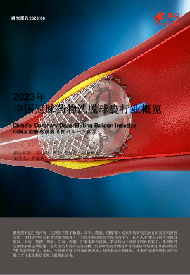 2023年中国冠脉药物洗脱球囊行业概览.pdf