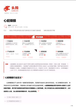 2023年中国心脏瓣膜行业词条报告.pdf