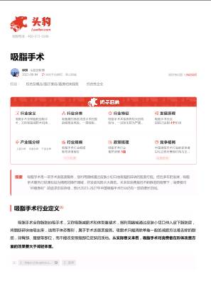 2023年中国吸脂手术行业词条报告.pdf