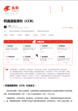 2023年中国钙通道阻滞剂（CCB）行业词条报告.pdf