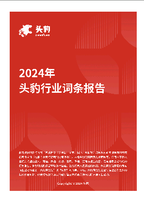骨科治疗类透明质酸终端产品：老龄化加剧，骨科发病率提升市场需求 头豹词条报告系列.pdf