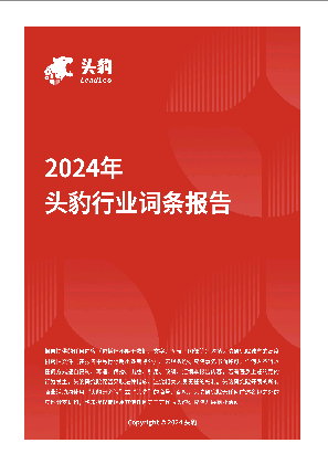 皮肤病药物：各国企业加速精准布局皮肤病市场 头豹词条报告系列.pdf