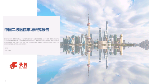 中国二级医院市场研究报告.pdf