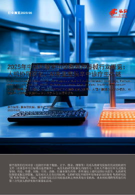 2025年中国AI脑卒中诊断医疗器械行业概览：人机协同深化，AI将重塑脑卒中诊疗生态链.pdf