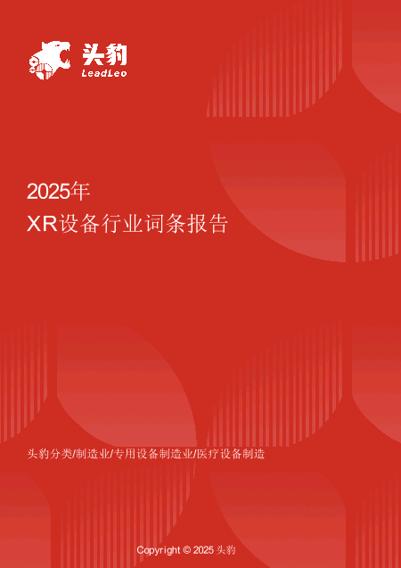XR设备： 从技术突破到医疗影像新革命，解码体内影像“数字眼” 头豹词条报告系列.pdf